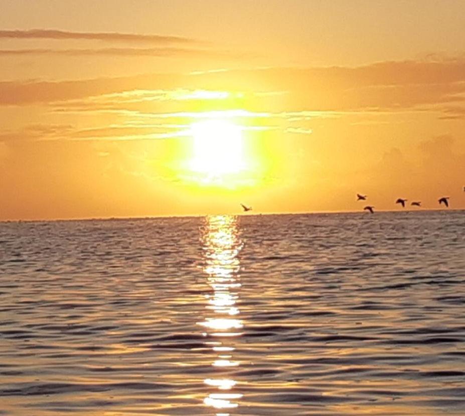 Waddenfestijn Villa Paesens Eksteriør bilde